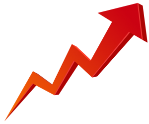 Read more about the article THS 2018 NCEA Results Buck the Trend