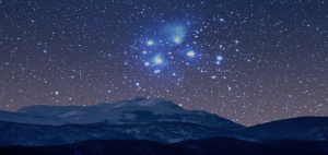 Read more about the article Matariki Celebrations