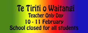 Read more about the article Te Tiriti o Waitangi Teacher Only Days