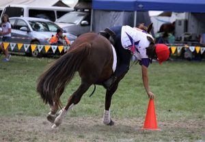 Read more about the article Heather competes at Horse of the Year