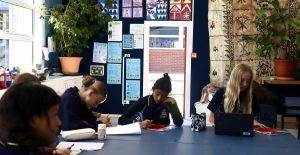 Read more about the article Learning Areas